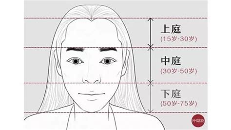 面相 上庭 中庭 下庭|仲易說：為何說“上庭”對一個人的影響更大？